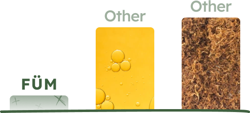 Wallet Icon